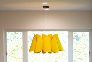 Color Schemes And Aesthetics For Adus