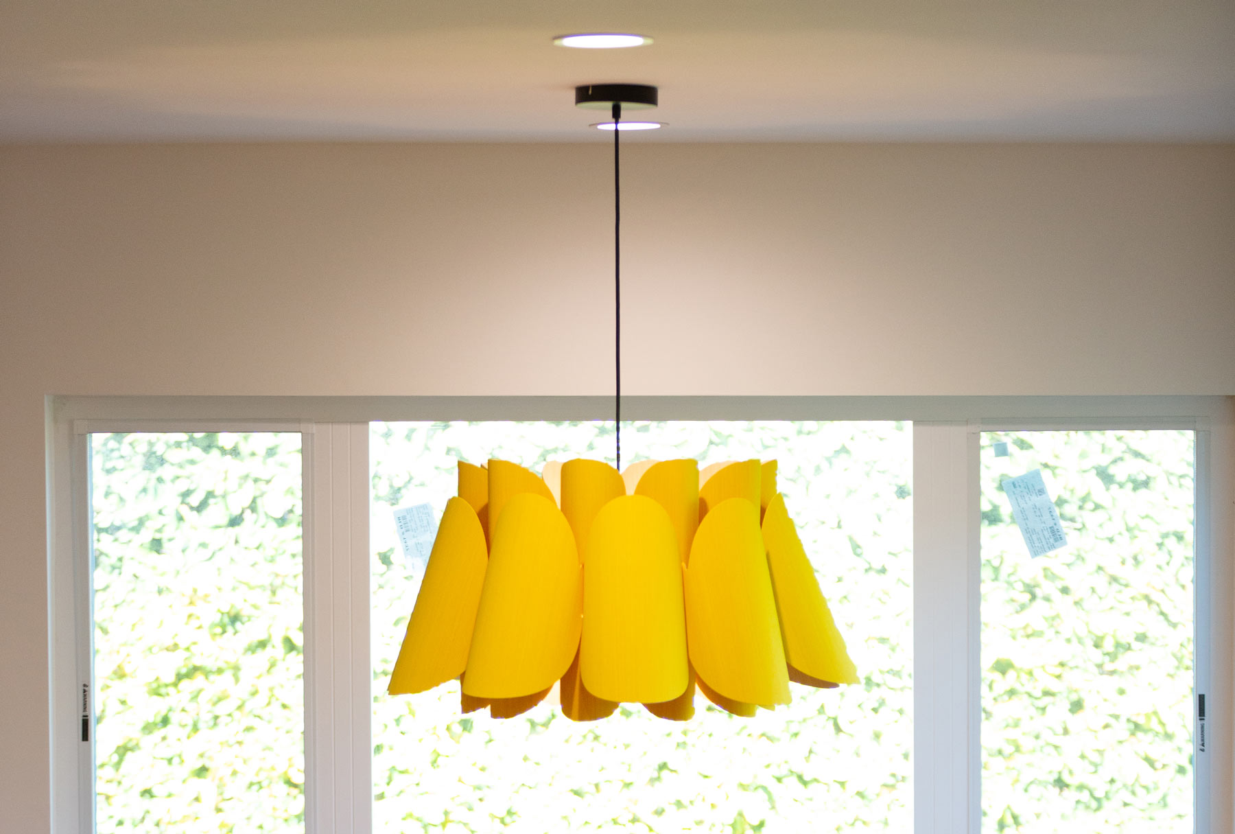 Color Schemes And Aesthetics For Adus